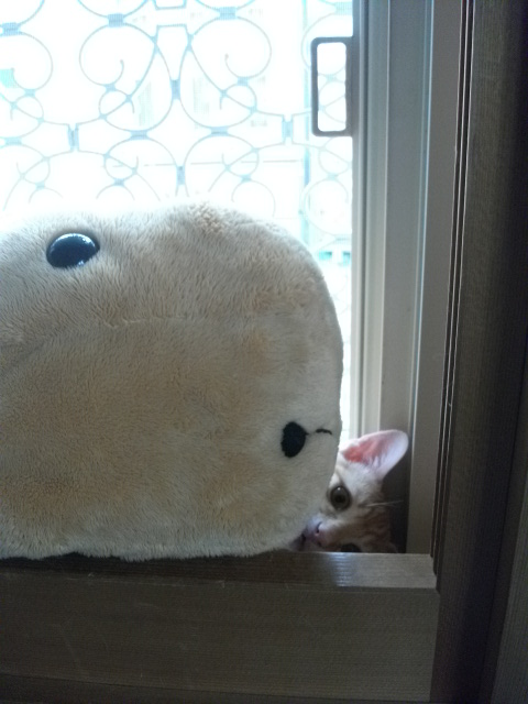 DSCF3963.jpg