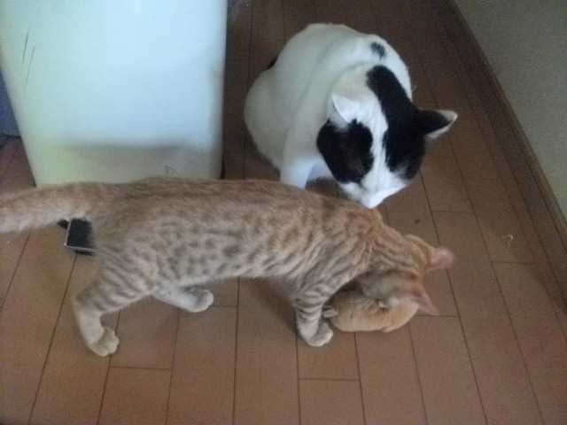 DSCF3968.jpg