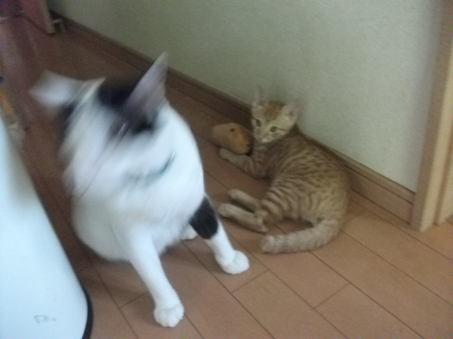 DSCF3970.jpg