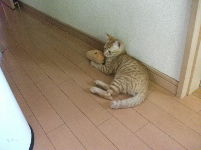 DSCF3971.jpg