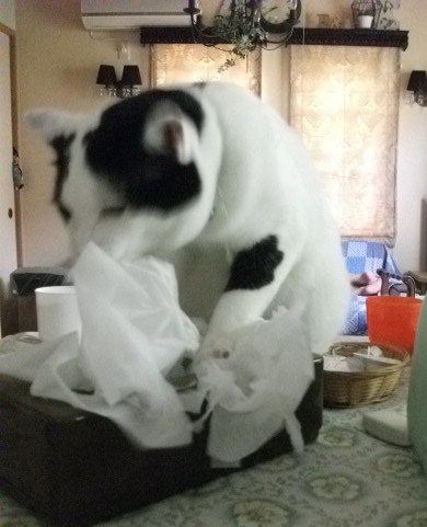 DSCF3978.jpg