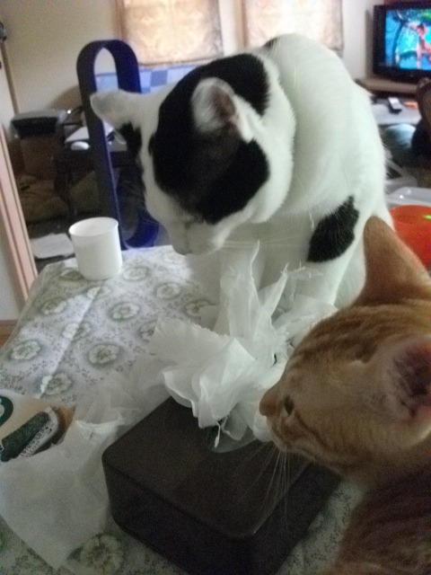 DSCF3984.jpg