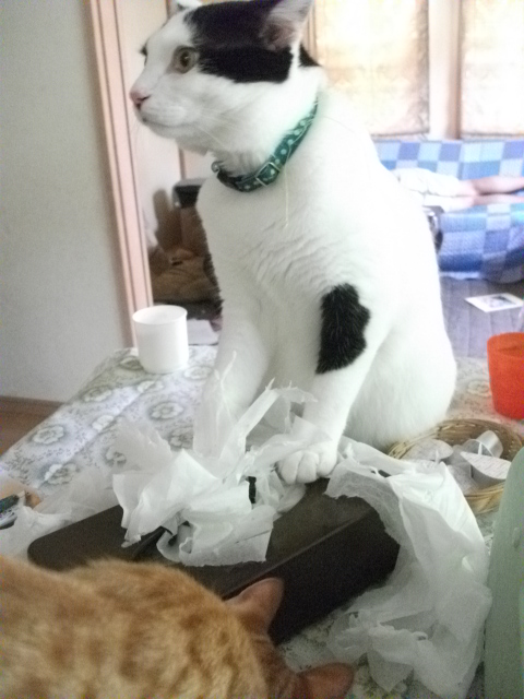 DSCF3985.jpg
