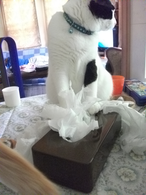 DSCF3986.jpg