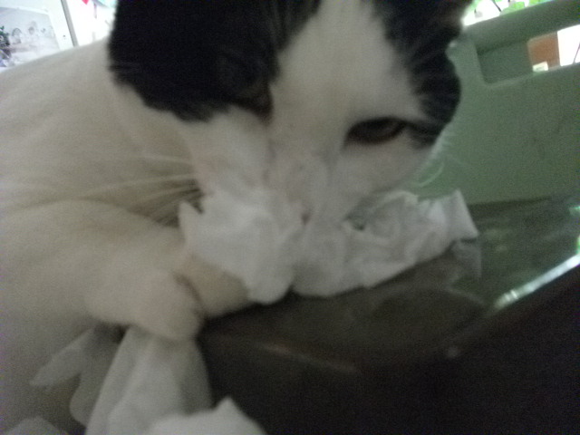 DSCF3988.jpg