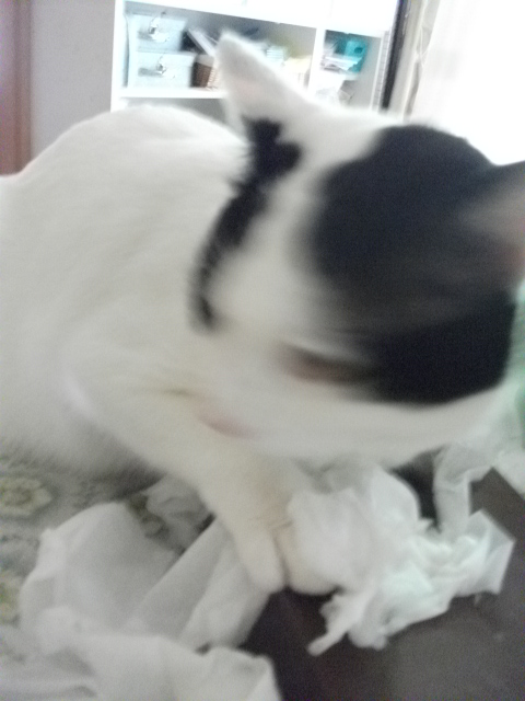 DSCF3990.jpg