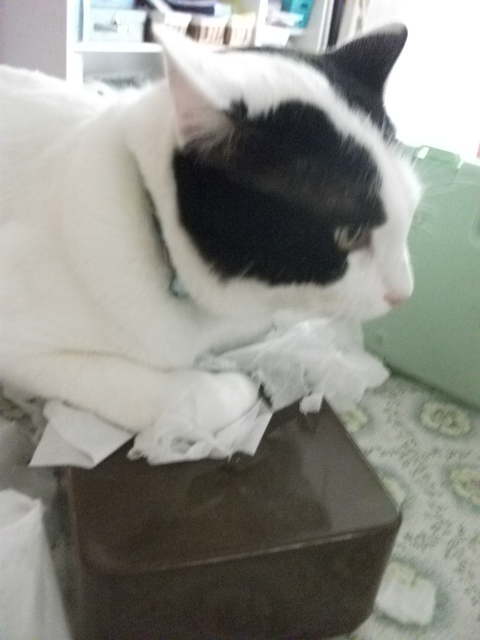 DSCF3991.jpg