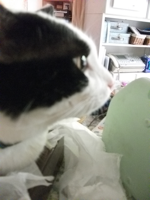 DSCF3993.jpg