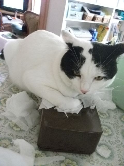DSCF3995.jpg