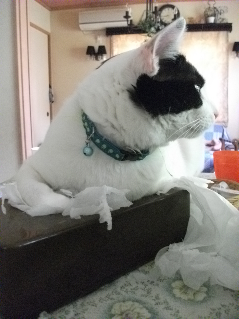 DSCF3997.jpg