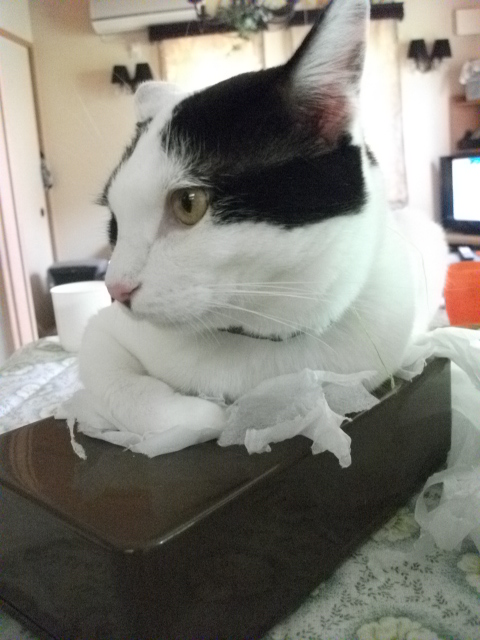 DSCF3998.jpg