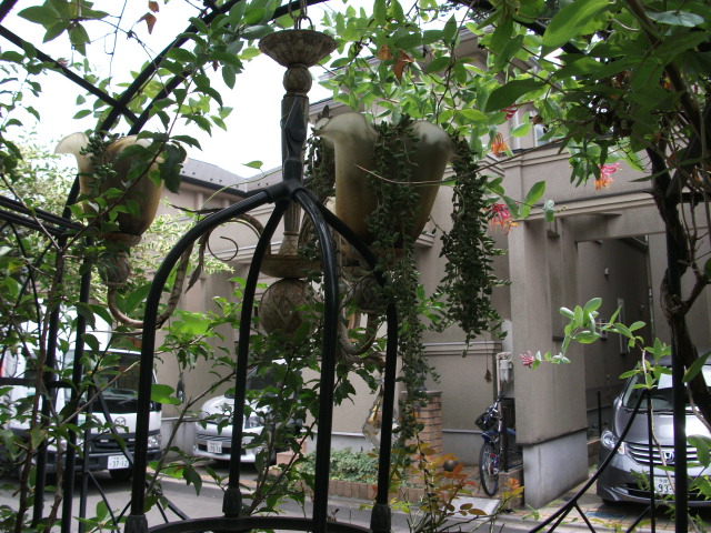 DSCF4103.jpg