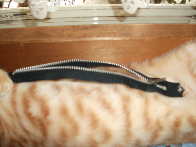DSCF4139.jpg