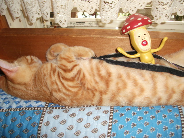 DSCF4142.jpg