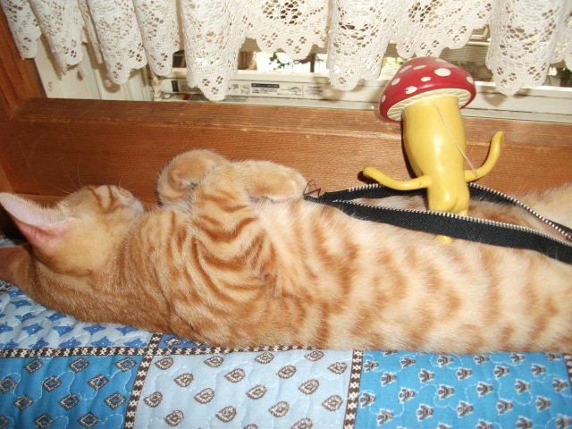 DSCF4143.jpg