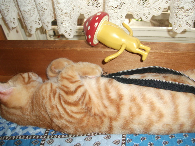 DSCF4144.jpg