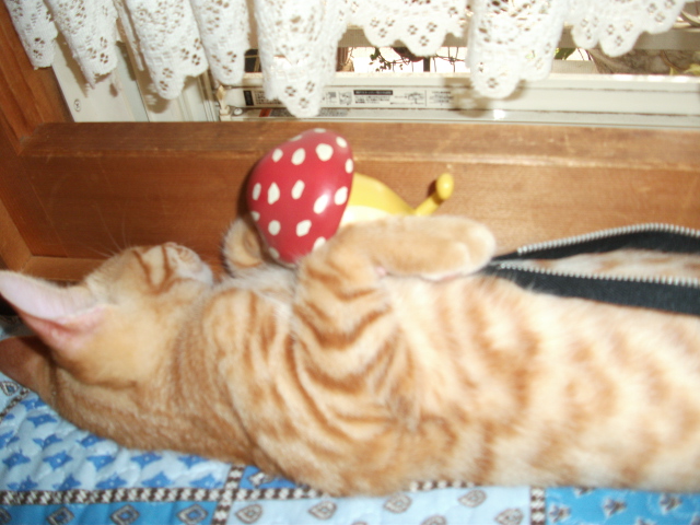 DSCF4145.jpg