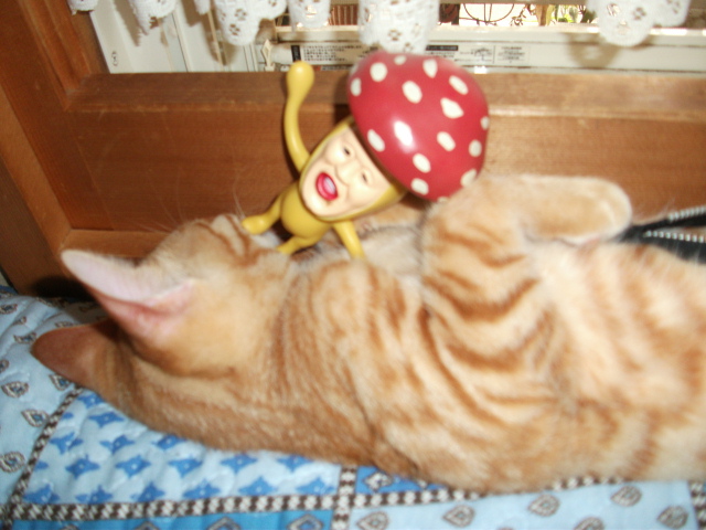 DSCF4146.jpg