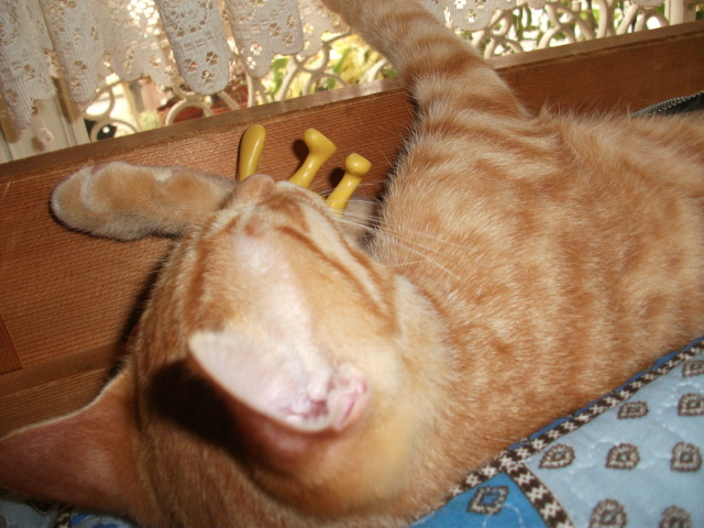 DSCF4148.jpg