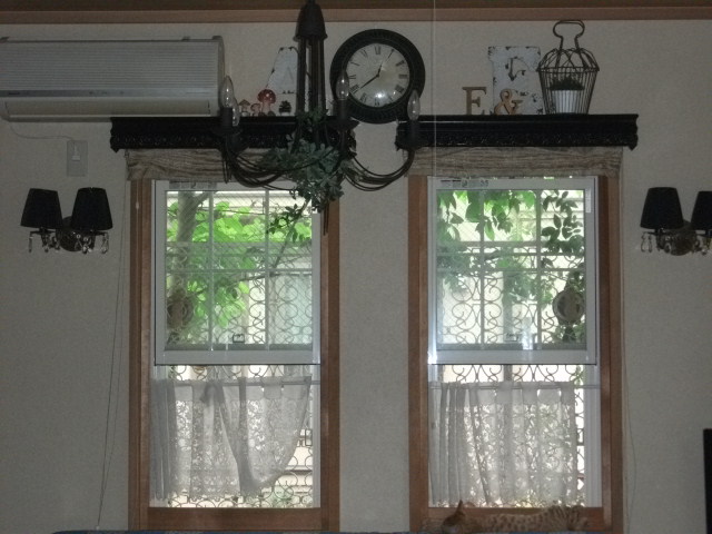 DSCF4154.jpg