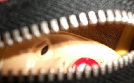 DSCF4159.jpg