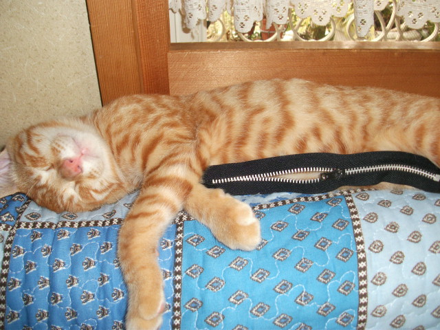 DSCF4161.jpg