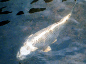 b68568cd.jpg