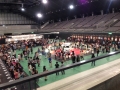 EXPO館