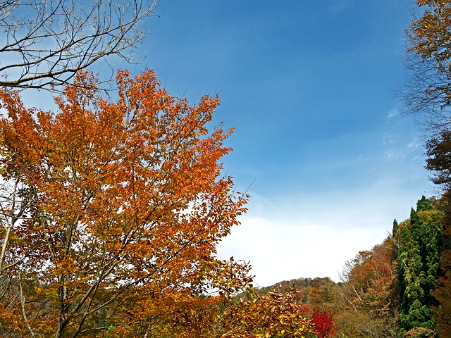 131120ashi03.jpg