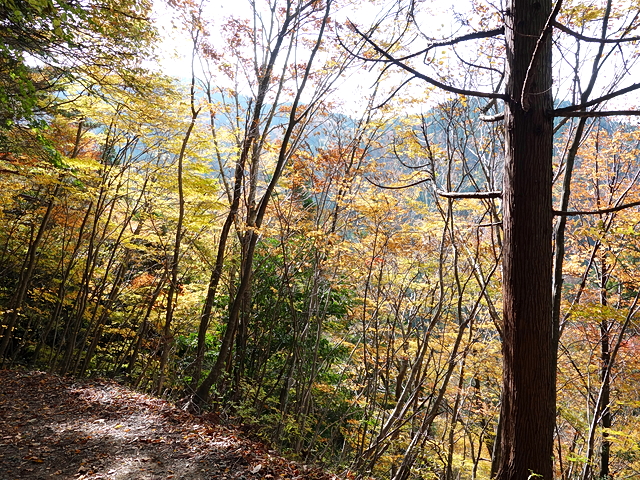 131120ashi05.jpg