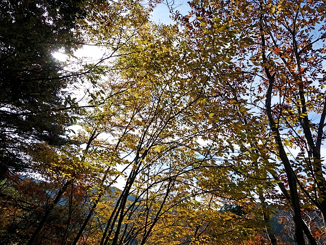 131120ashi06.jpg