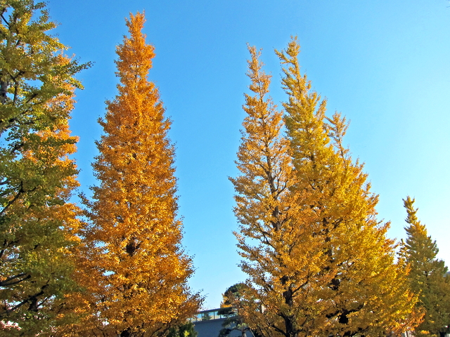 131201kouyo02.jpg