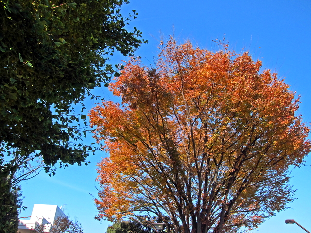 131201kouyo04.jpg