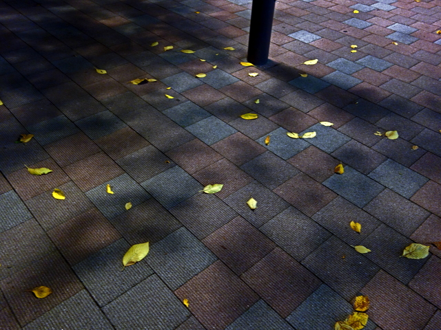 131201kouyo05.jpg