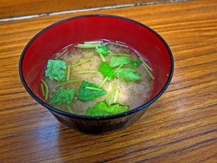 131212yachi05a.jpg