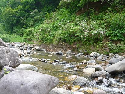 namiutigawa-1.jpg