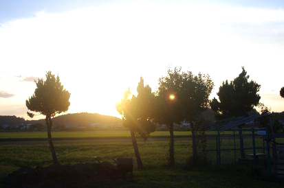 夕日9.10