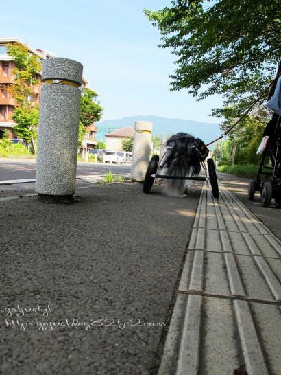 どこまでもまっすぐいくよ