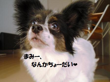 1-111016020.jpg