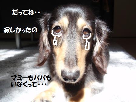 10-111006012.jpg