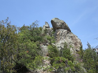 IMG_1276.jpg