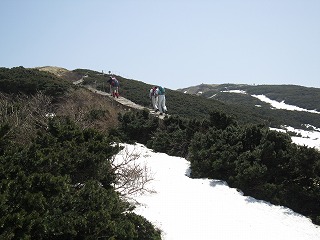 IMG_1303.jpg