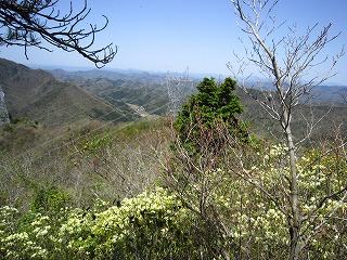 IMG_1338.jpg