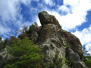 IMG_1370.jpg