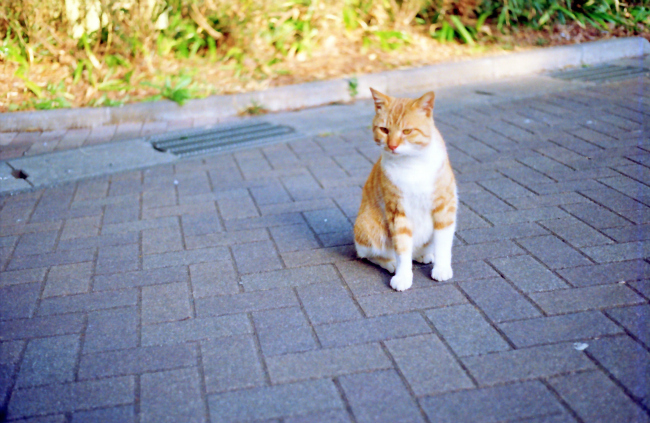 120328.jpg