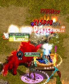 24.jpg