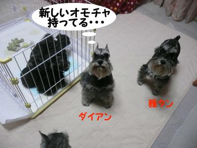 あさひっ子3月29日2
