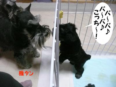 あさひっ子33月29日
