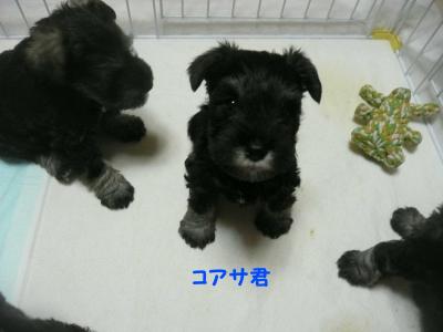 あさひっ子コアサ3月29日