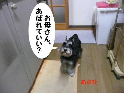 あさひ5月1日